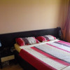 Apartament 3 camere, Dumbravita - Curte privata amenajata thumb 12