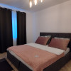 Apartament 4 camere, Timisoara, Zona Ultracentral - Renovat complet thumb 3